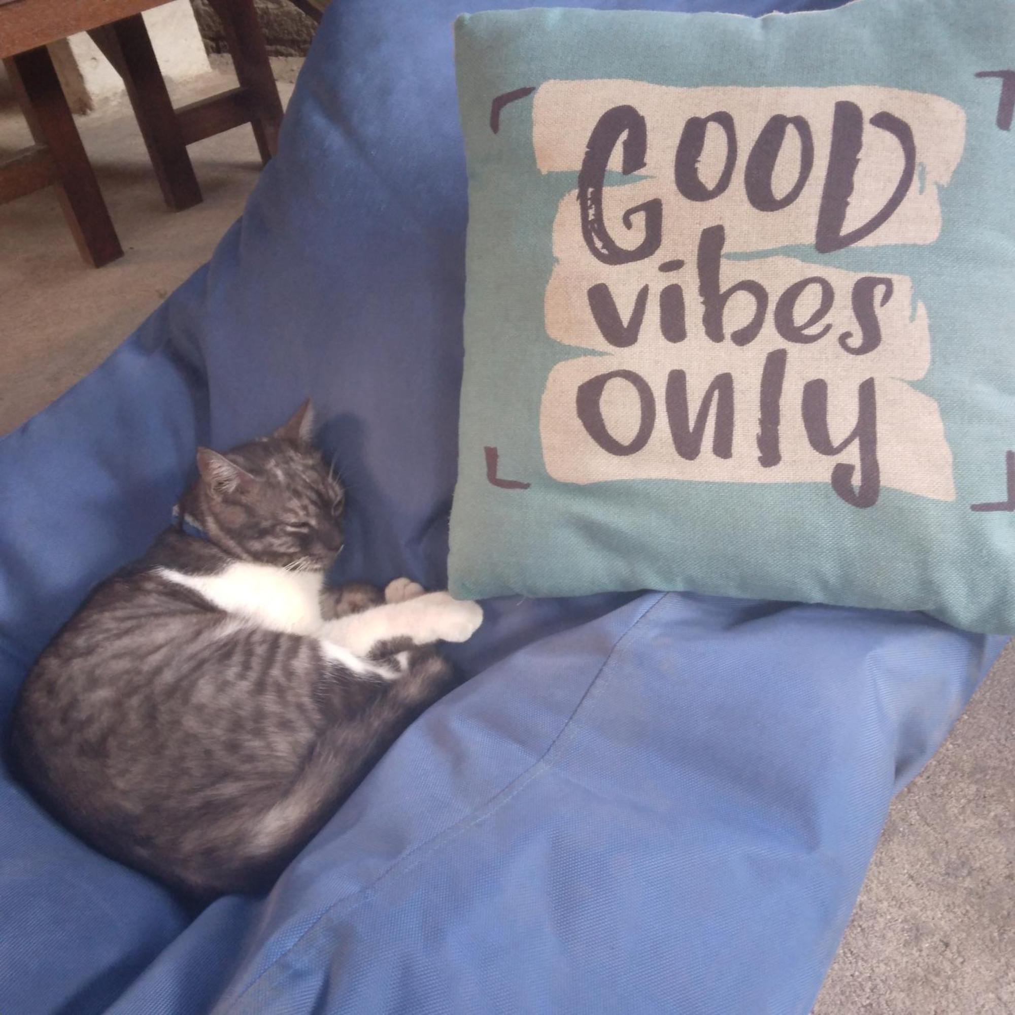 Good Vibes Bungalows Gili Trawangan Zewnętrze zdjęcie